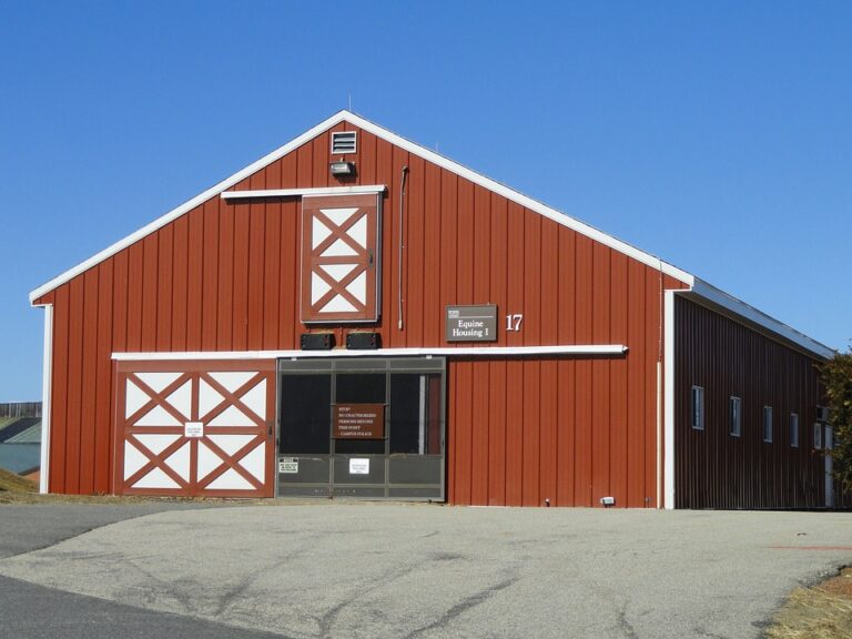 Kegiatan Ekstrakurikuler dan Keterlibatan Mahasiswa di Universitas Muhammadiyah Jakarta